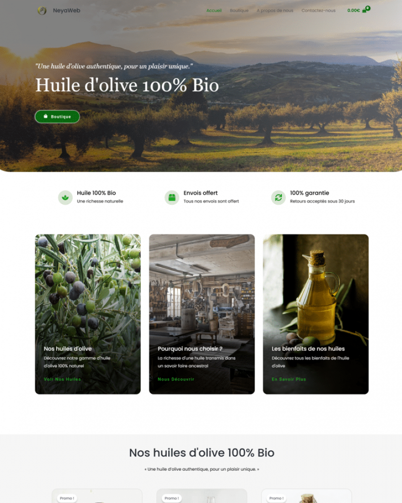 Ecommerce site Demo