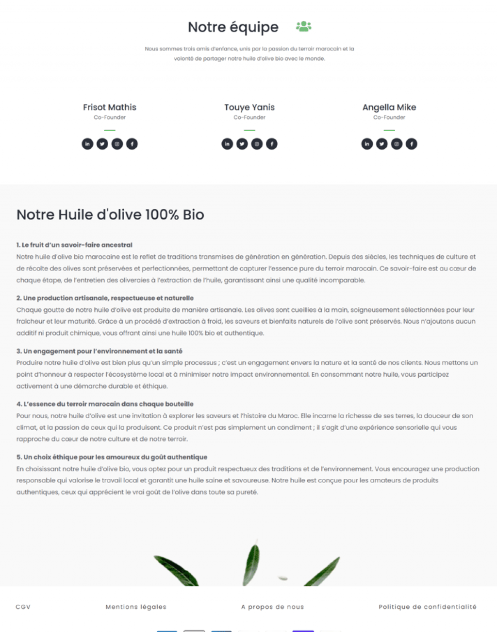 Ecommerce site Demo